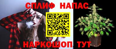 винт Ярославль