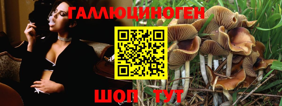 цены наркотик  Галлюциногенные грибы прущие грибы  Вход с VPN  Орск 